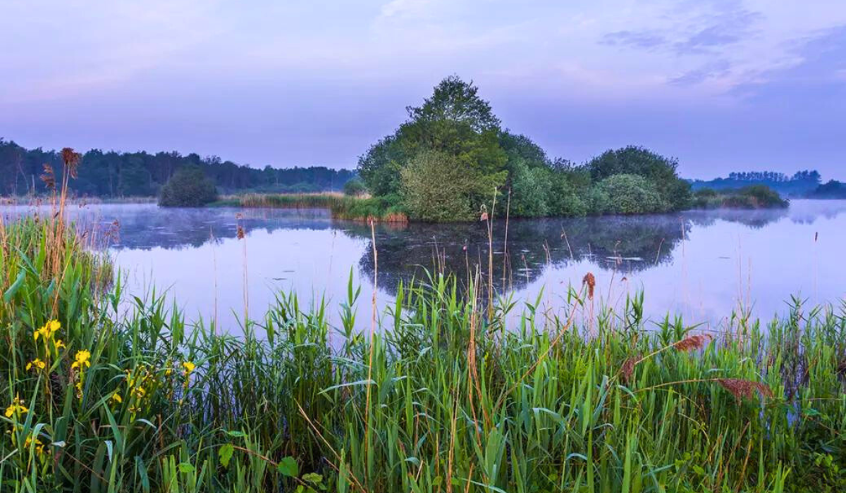 photo: Kempen-Broek Transboundary Biosphere Reserve (Belgium, Kingdom of the Netherlands)